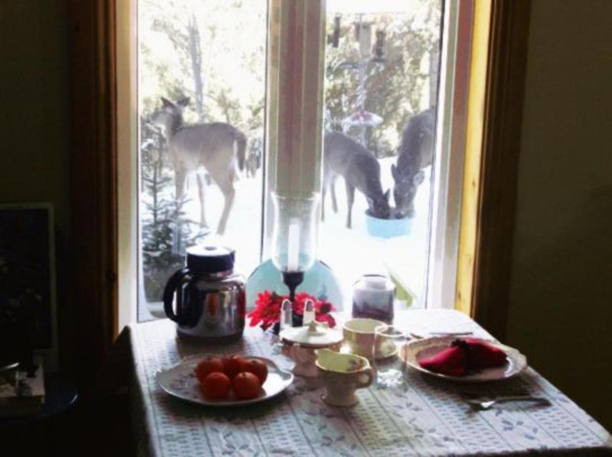 La Petite Douceur Bed & Breakfast Lac-Superieur Eksteriør bilde